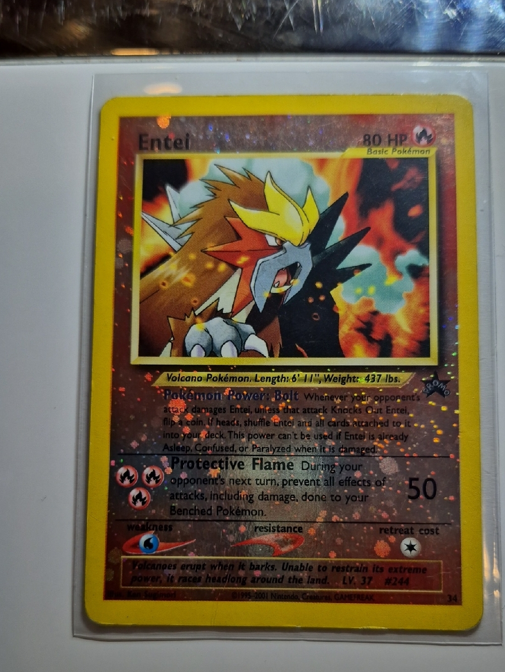 Pokemon Entei Holographic Trading Card Yellow Red Orange Black